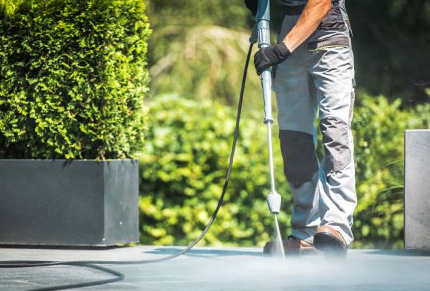 Best Roof Washing  in Hawthorne, FL